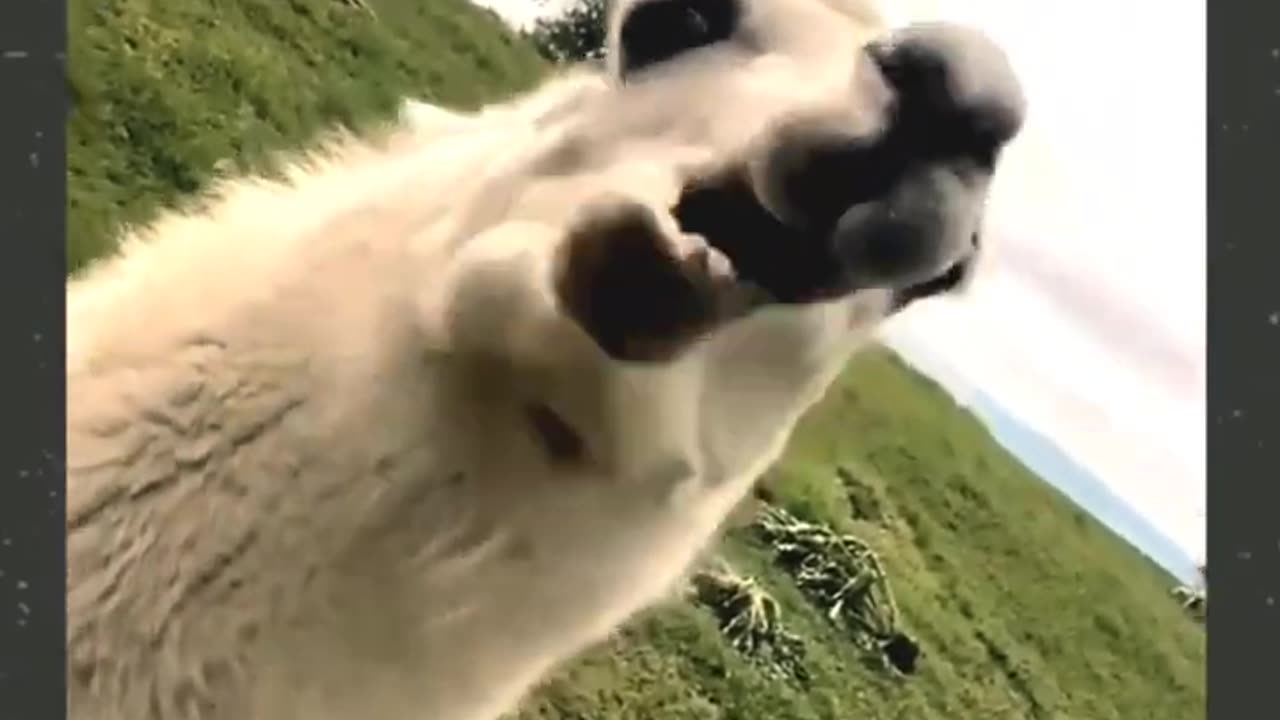 Best Fails of The Week: Funniest Fails and Prank Compilation 2025: Funny Video