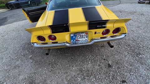 Real RS split bumper type LT 4 speed