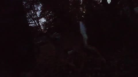 Petting a deer after coming back from the store