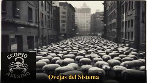 Ovejas del Sistema