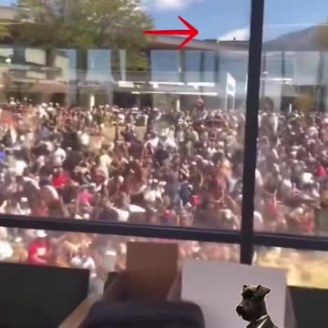 Supposed shooter running on roof top.