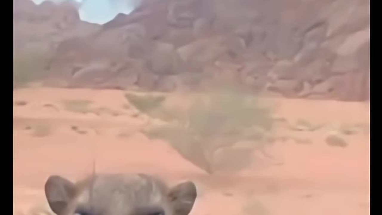 🤣👏 Bro's Epic Attitude Shift is PURE GOLD! | FunFM