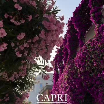 Via Camerelle, Capri, Italy