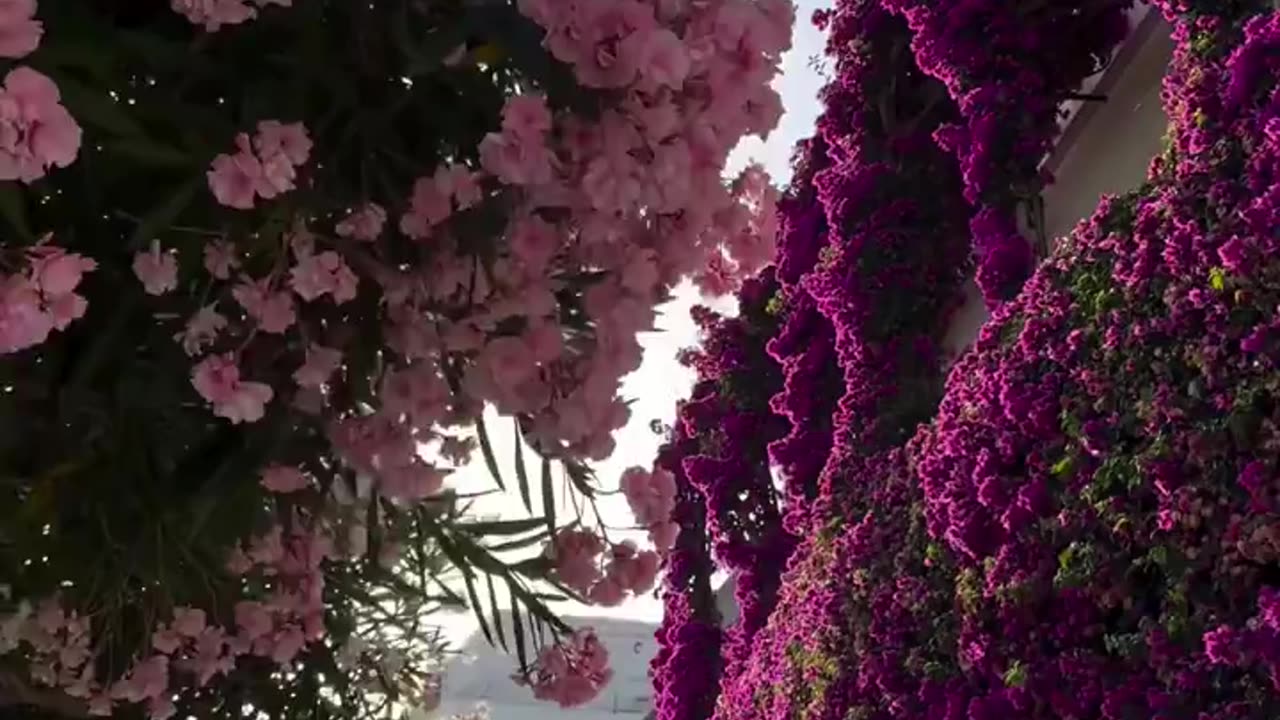 Via Camerelle, Capri, Italy