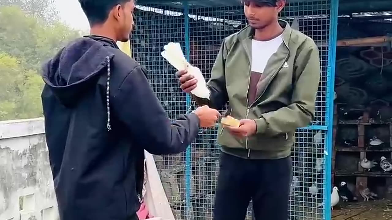 Very fast very funny 🤣