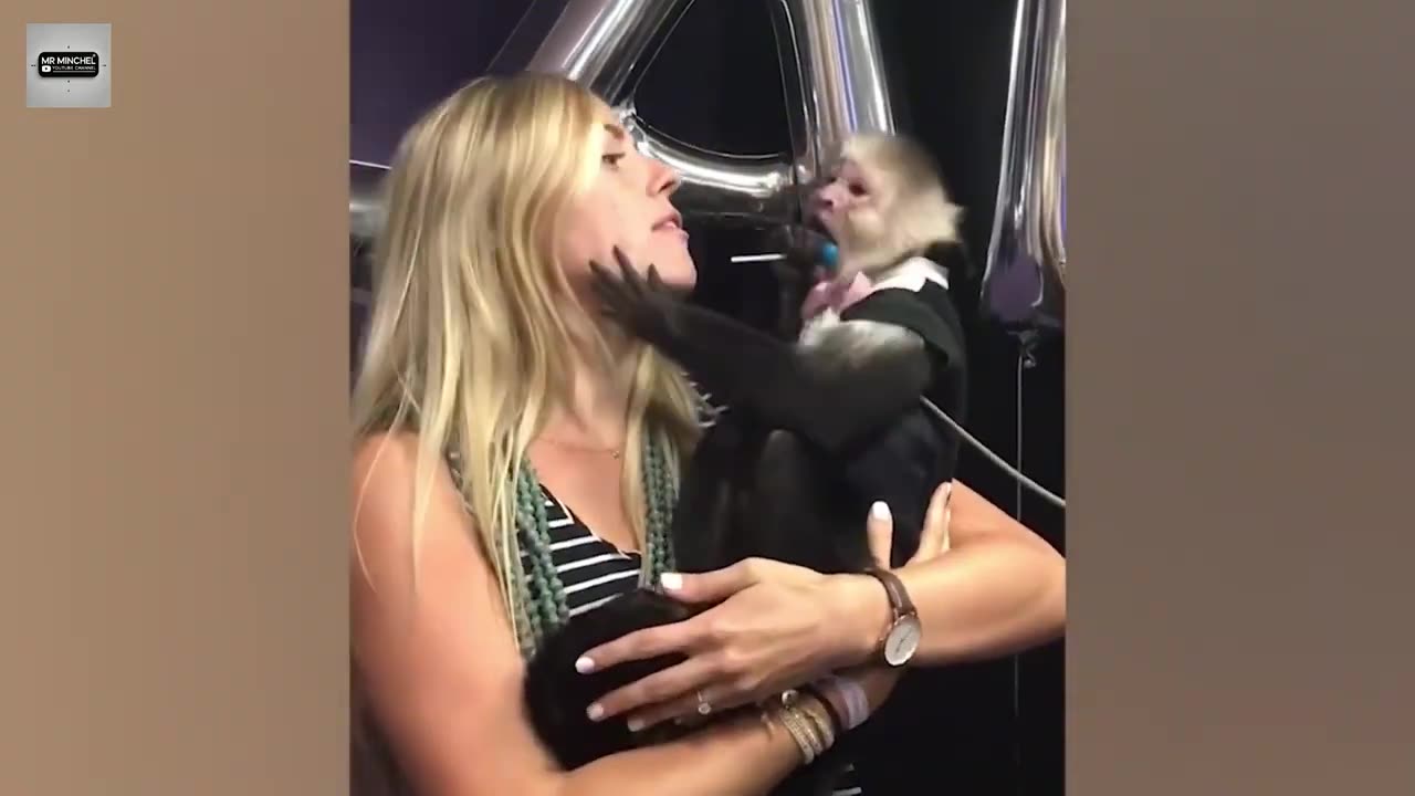 Best 👌 Funny Animals 😁 😂 😀 video