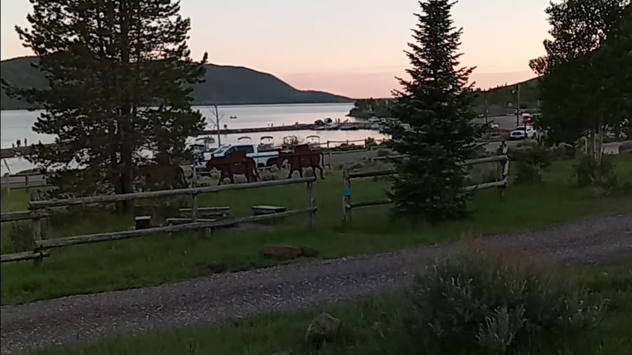 fish lake utah