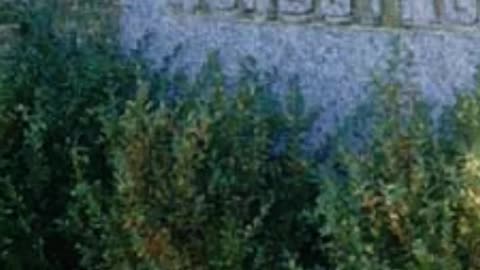 FAMOUS GRAVES - VOL. 663: JOHN NORDSTROM