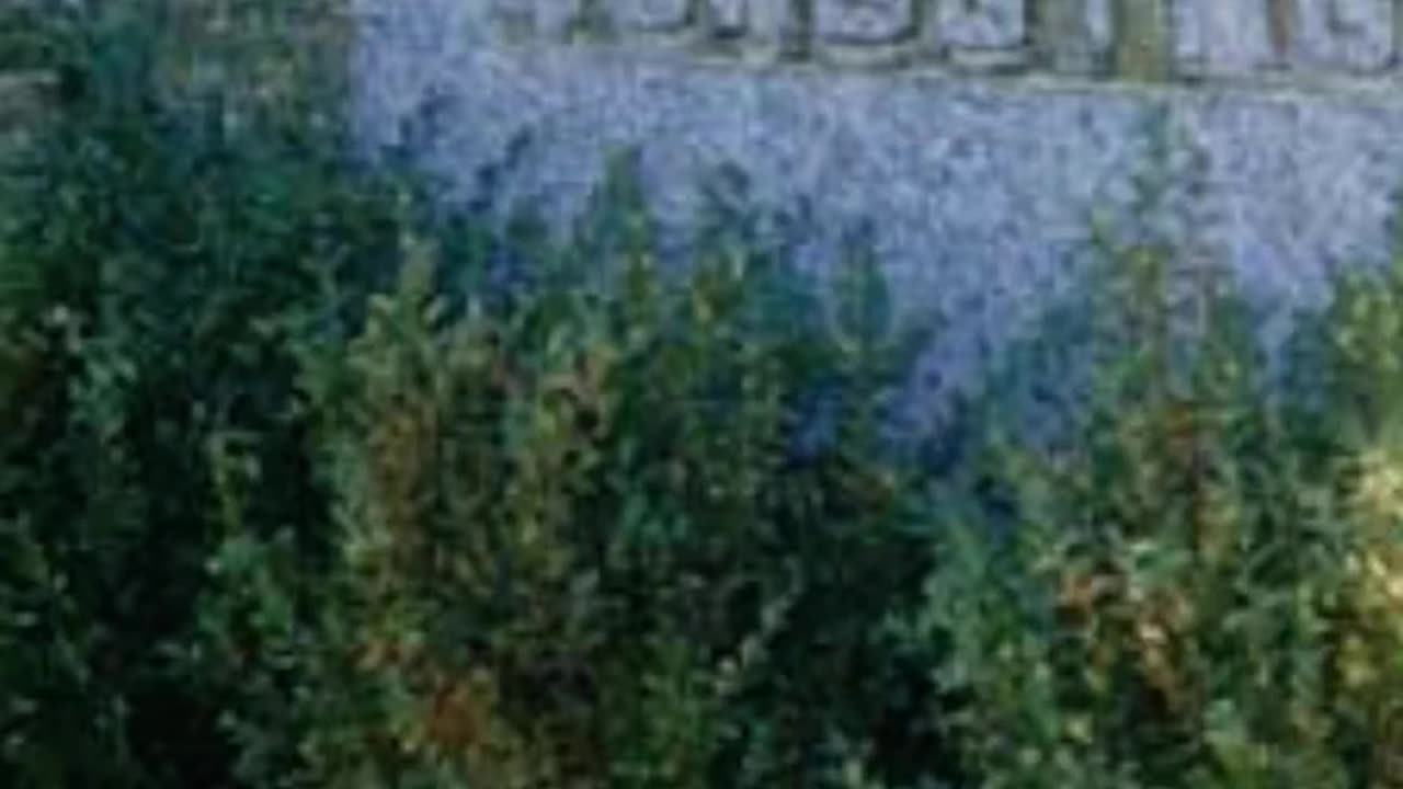 FAMOUS GRAVES - VOL. 663: JOHN NORDSTROM