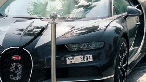 💨🔥 Unleashing the Beast: Luxury Car Acceleration! | LuxurySportsCars