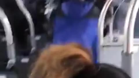 Fight on Bus Chicago Broadway and Emerson 5M