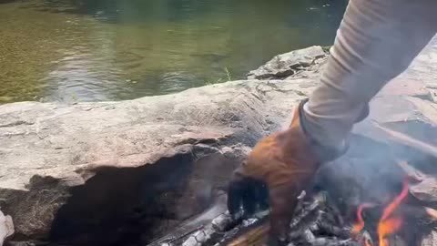 Relaxing Outdoor Cooking Nature Sounds