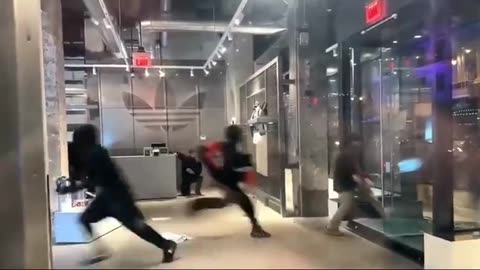 Mass Looting of stores in Central Los Angeles. Peaceful Protests