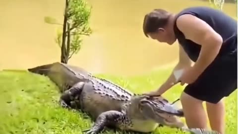 🐶😂 This Puppy is Being Forced to be a Predator... | FunFM