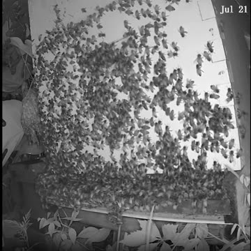 Monday Evening Sunset