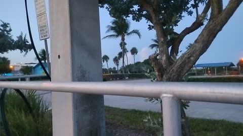 Cocoa Beach sightseeing right off the strip