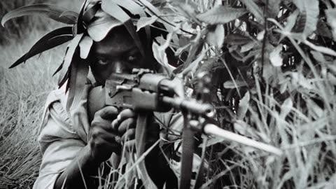 The Rhodesian Bush War