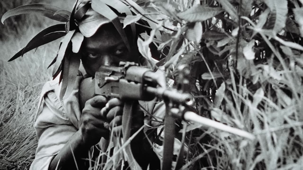 The Rhodesian Bush War