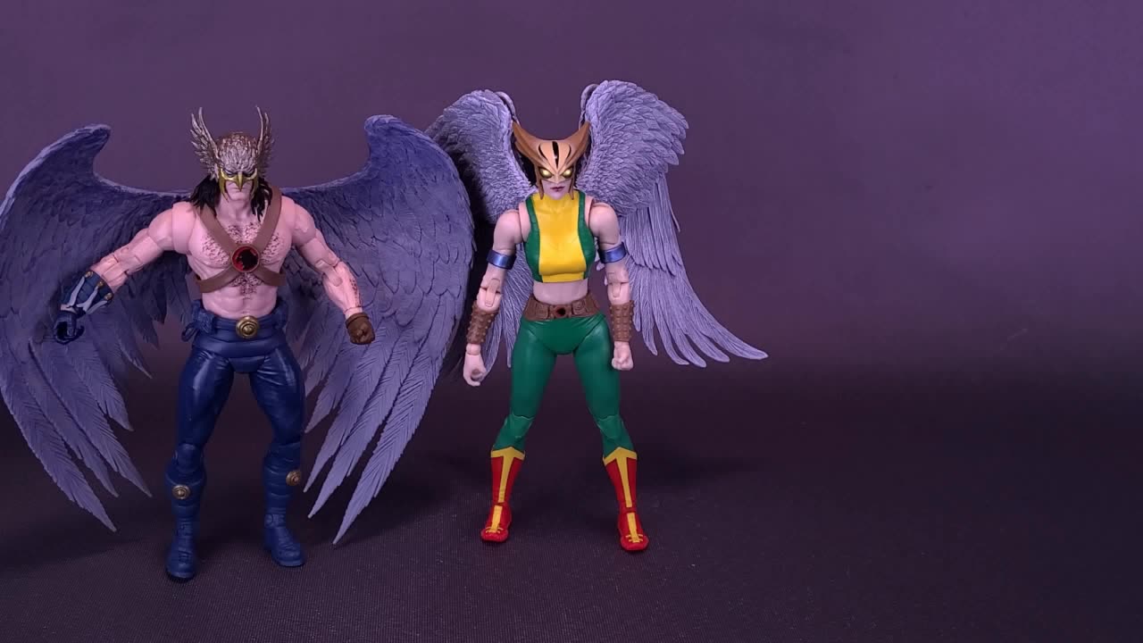 McFarlane Toys DC Multiverse Mcfarlane Collectors Edition Hawkgirl Figure Review