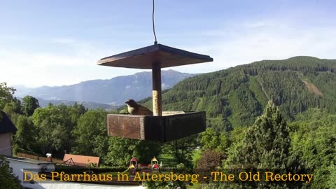 Old Rectory in Austria