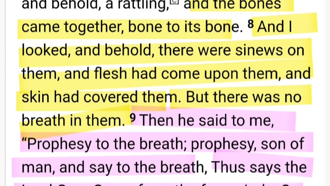 THE LORD SAYS WHEN LIFE BEGINS