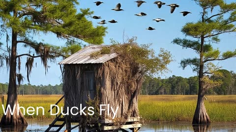 When Ducks Fly