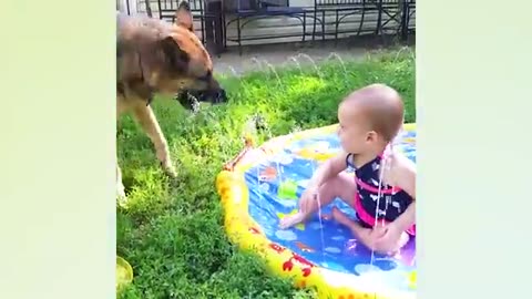 funny babies videos