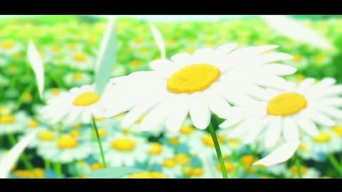 Frieren & Himmel Sousou no Frieren - LSF