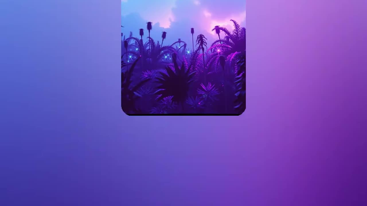 STORM SURGE - INTERLUDE