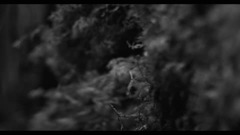 ABBATH - Harvest Pyre (Official Music Video)