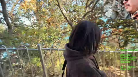 🔥Reopened Coastal Path Busan Korea irl