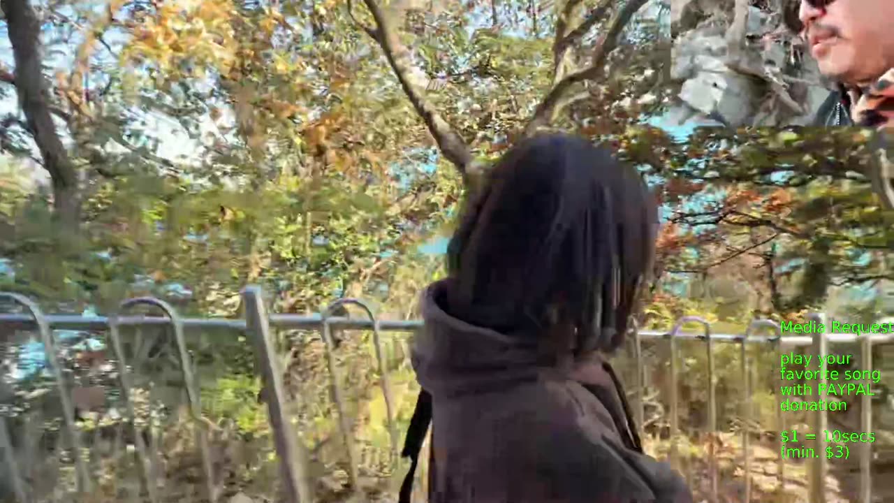 🔥Reopened Coastal Path Busan Korea irl