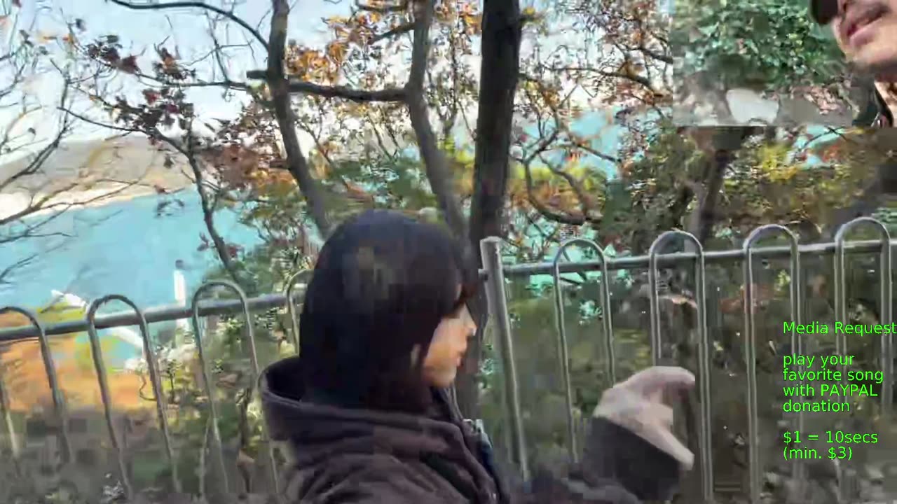 🔥Reopened Coastal Path Busan Korea irl