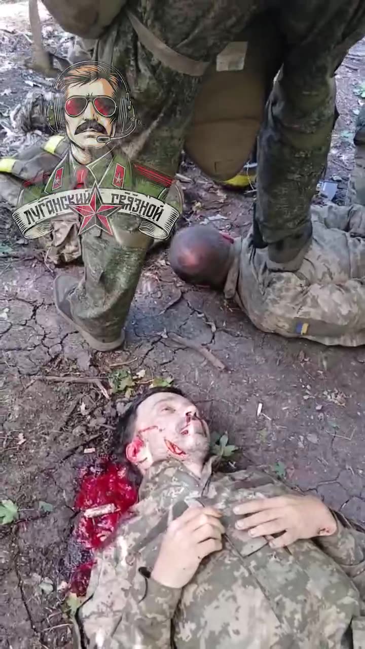 Footage after clearing the Ukrop position in the Krasnolimansk direction