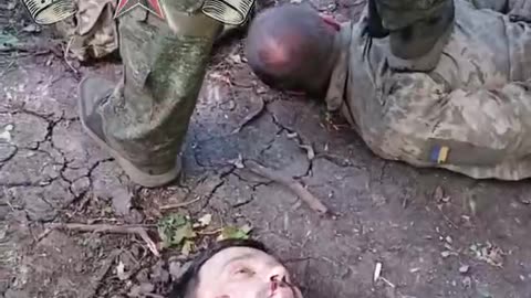 Footage after clearing the Ukrop position in the Krasnolimansk direction