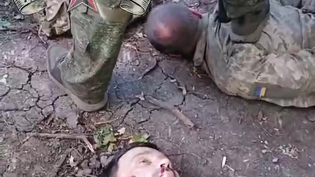 Footage after clearing the Ukrop position in the Krasnolimansk direction