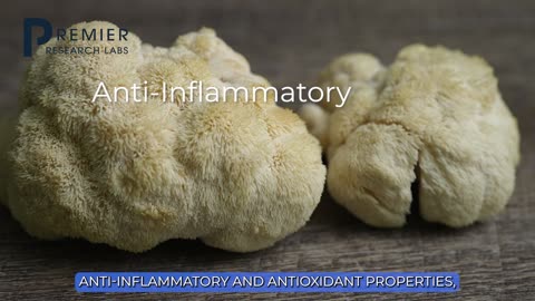 Is Lion’s Mane the Ultimate Brain & Immune Supplement? Here’s the Truth