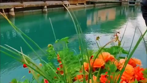 Beautiful Switzerland 🇨🇭