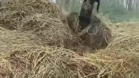 Extreme Excavator Precision! 🚜🪵 | Marshland Masterclass 💪🌾