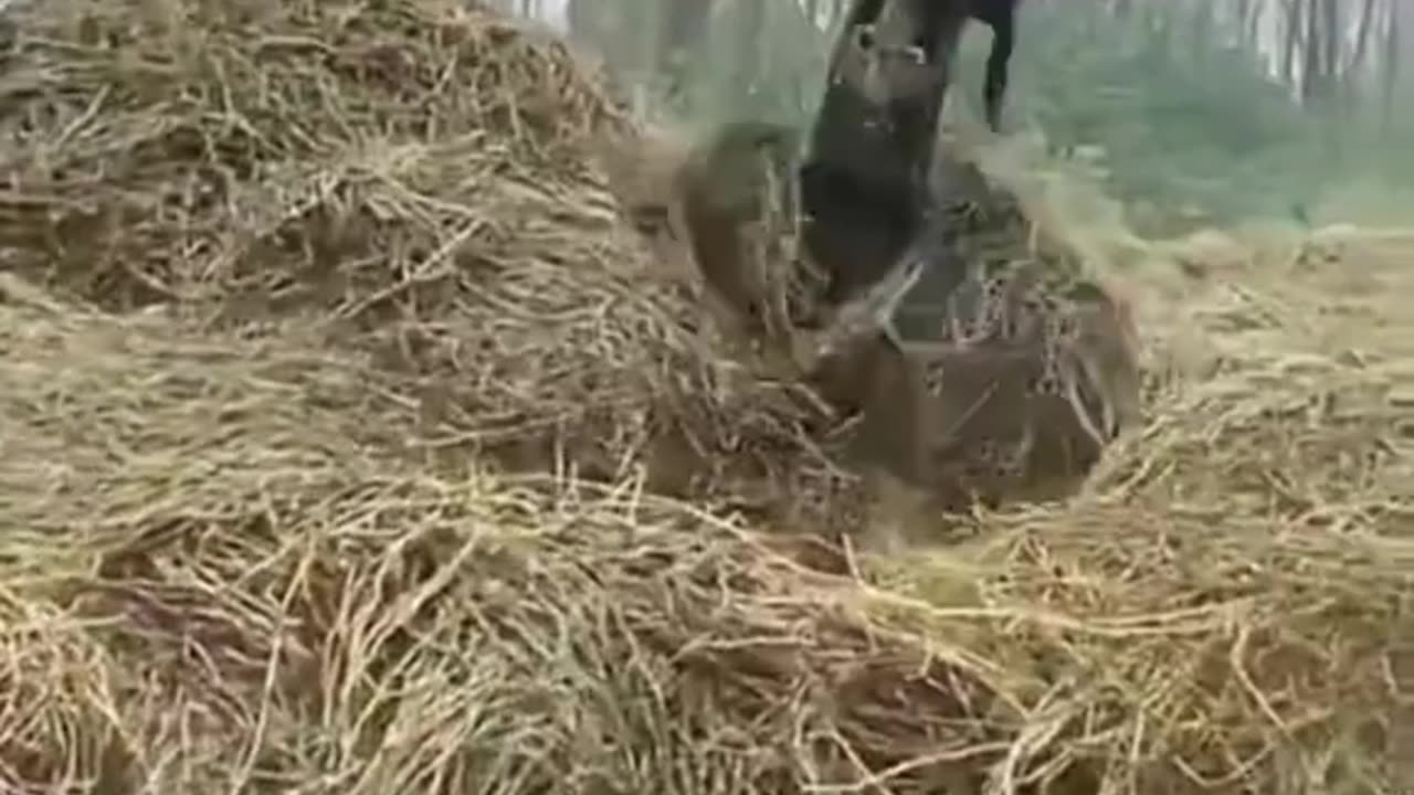 Extreme Excavator Precision! 🚜🪵 | Marshland Masterclass 💪🌾