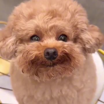 Try to find out my hidden secret words