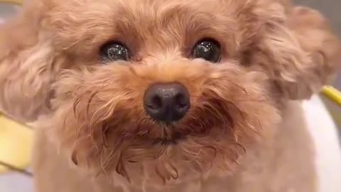 Try to find out my hidden secret words