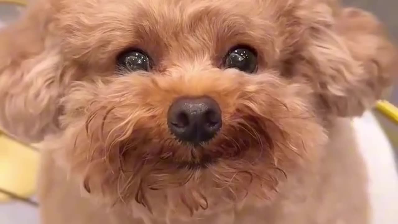 Try to find out my hidden secret words