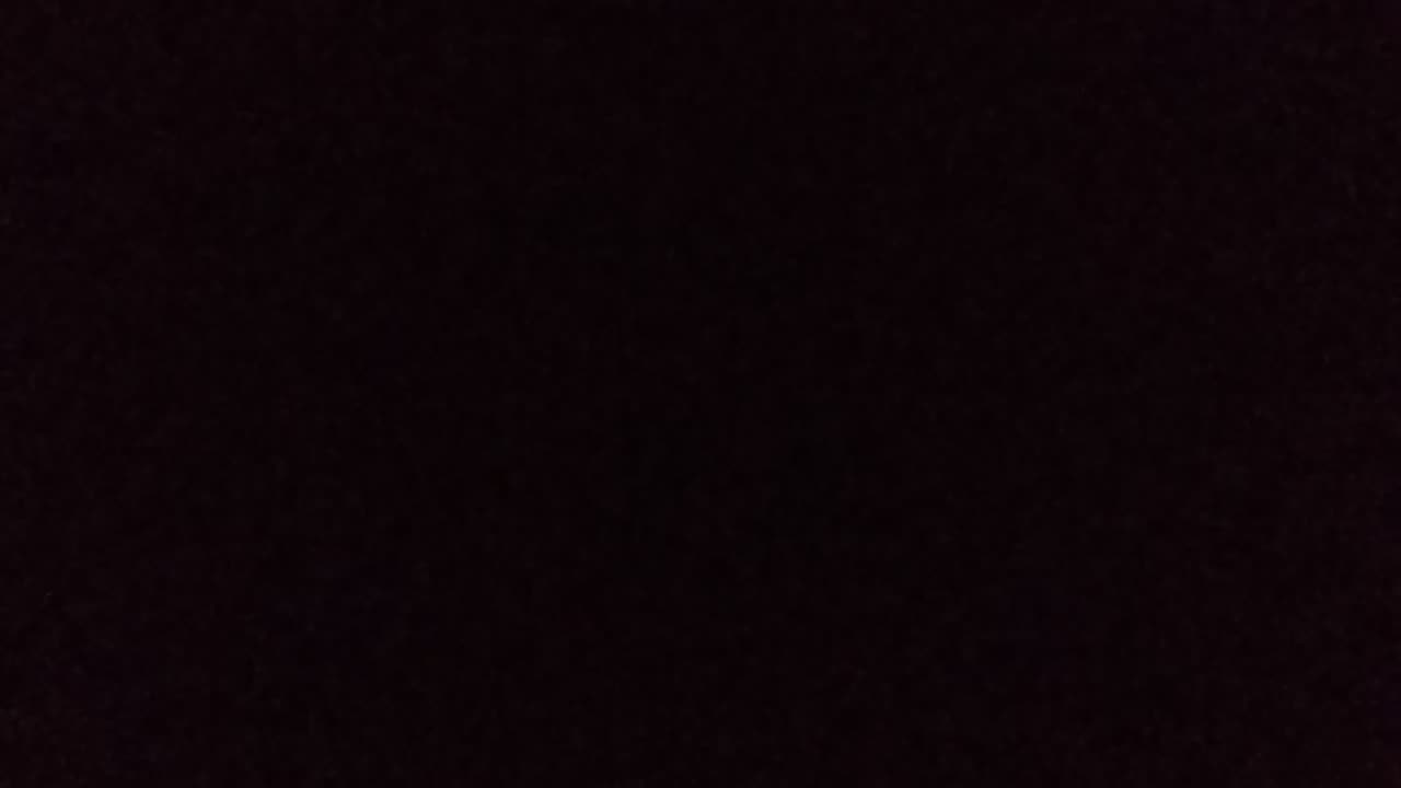 2 Chronicles chapter 11