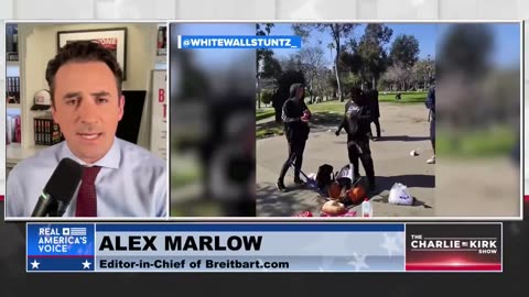 I.C.E. Raids LA Park, Sending a Message to Democrat-Run Cities Across the Country
