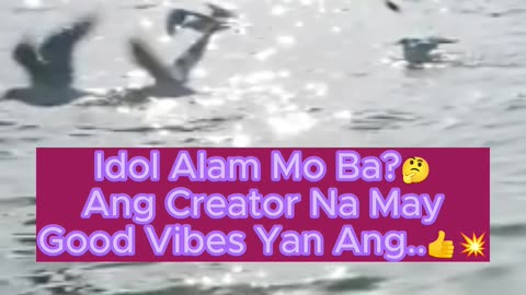 Creator Na May Good Vibes