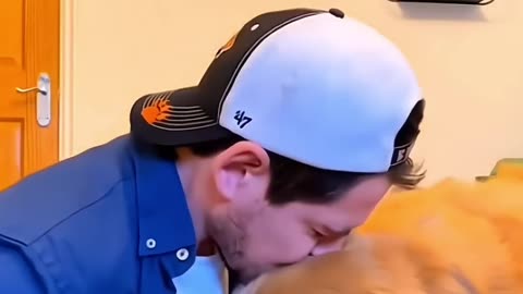 Animals are friends of humans #funny #pets