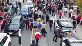 Liberals Just Have No Brain