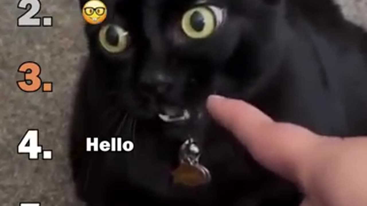 Ranking Best Black Cats Void Moments