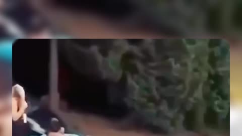 Try to Not Laugh Challenge No. 10